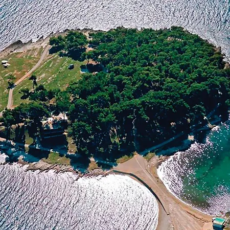 In Μεντουλίν