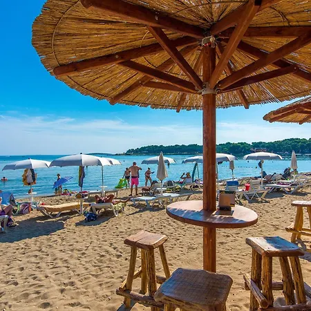 Апартаменты Cozy In